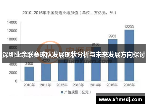 深圳业余联赛球队发展现状分析与未来发展方向探讨